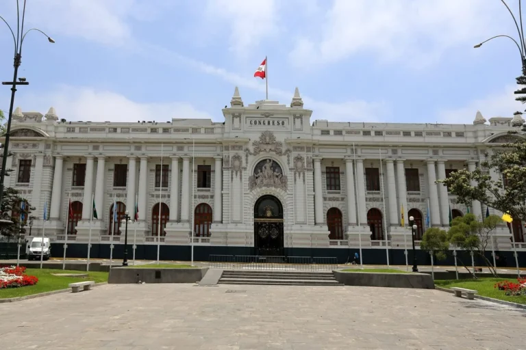 Administración pública: qué es, funciones y importancia